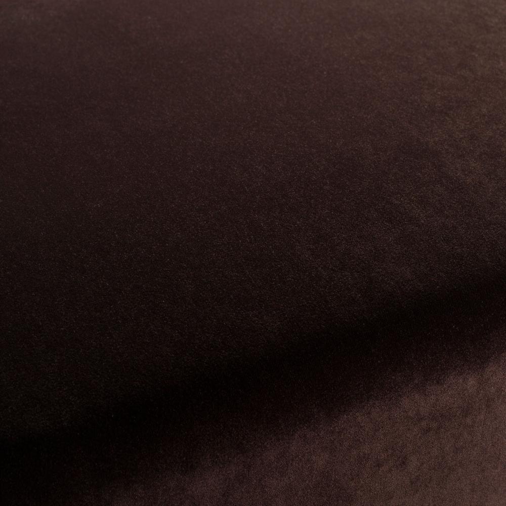 Ace Lounge Chair - Black Legs