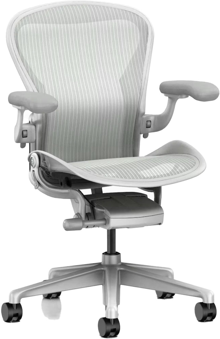 Aeron™ Chair - Basic